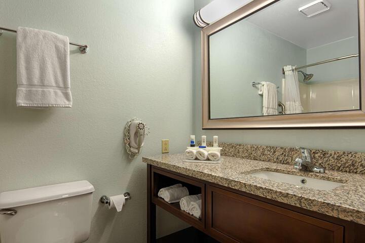 1 King Bed Suite (10 of 12)
