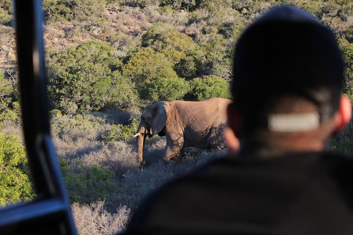 Game viewing