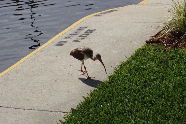 Property Grounds 195 of 207