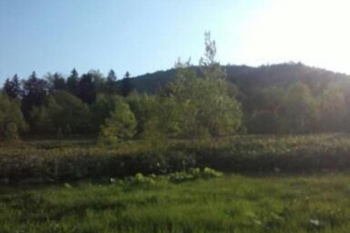 Property Grounds 16 of 21