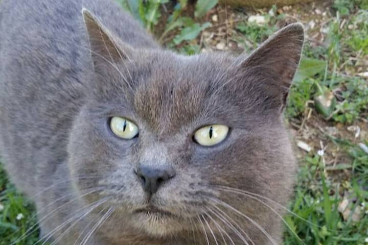 Pet Friendly 15 of 38
