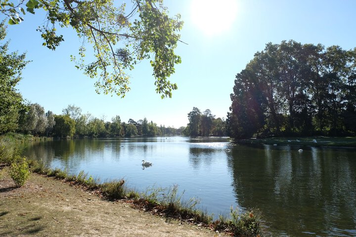 Property Grounds 21 of 27