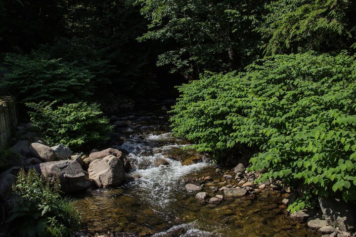 Property Grounds 30 of 33