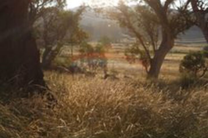Property Grounds 9 of 13