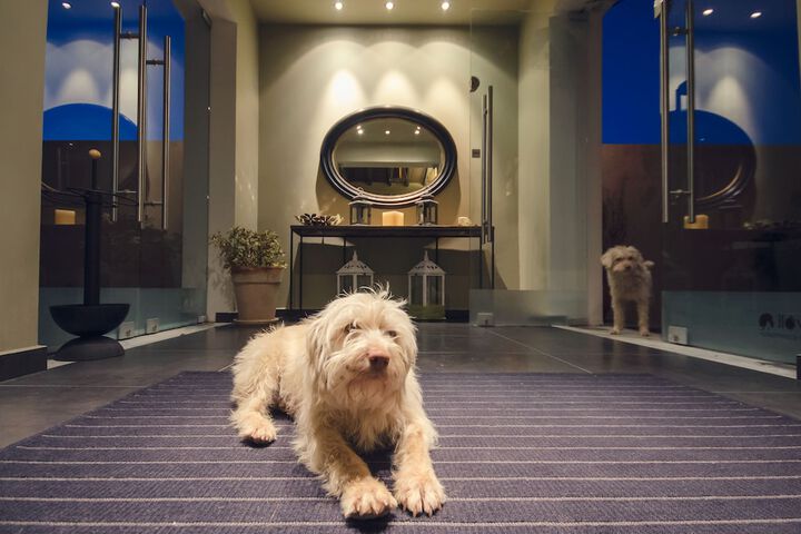 Guest Lobby