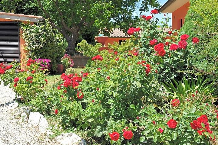 Photo 29
