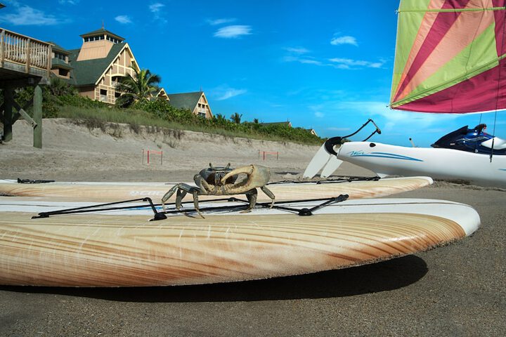 Water Sports 34 of 57