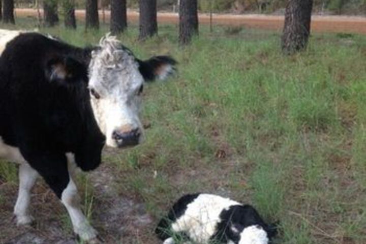 Hotel Interior 44 of 54