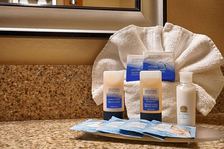 Suite 1 King Bed Sofa Bed Microwave, Refrigerator WiFi Shower Only Full Breakfast (11 of 18)