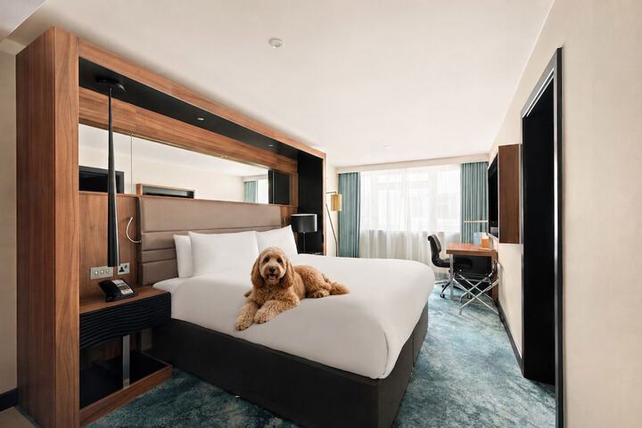Pet-friendly