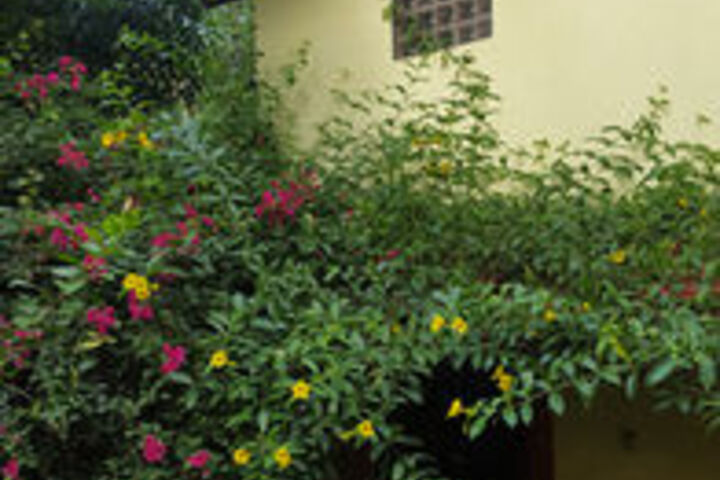 Hotel Exterior 8 of 28