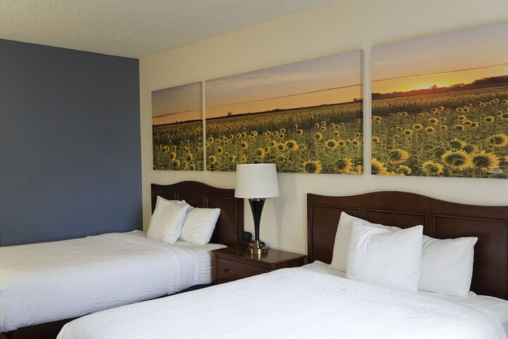 Standard | King Bed (13 of 15)