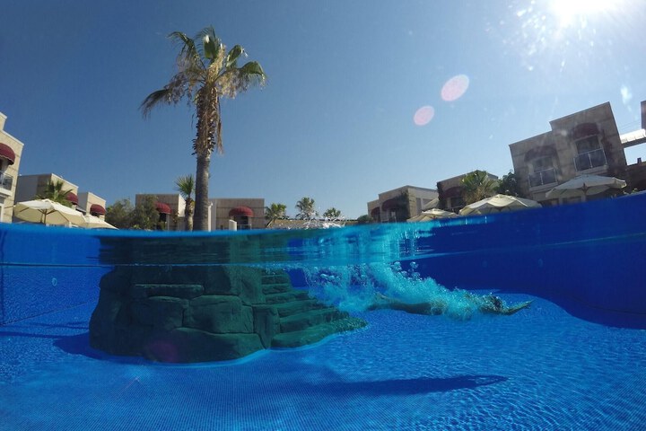 Hotel with Pool