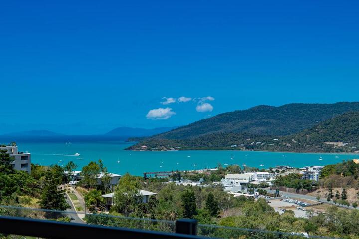 Image of Airlie Nights