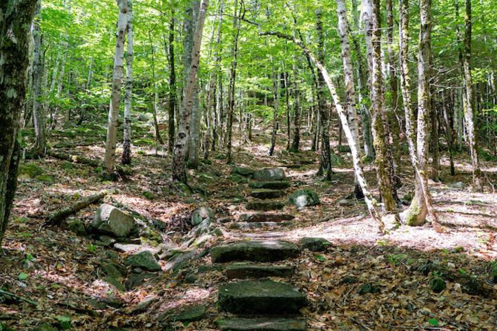 Hiking