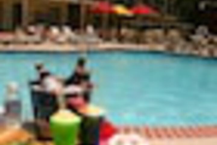 Pool 59 of 138