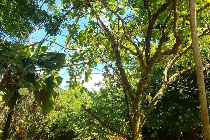 Property Grounds 5 of 6