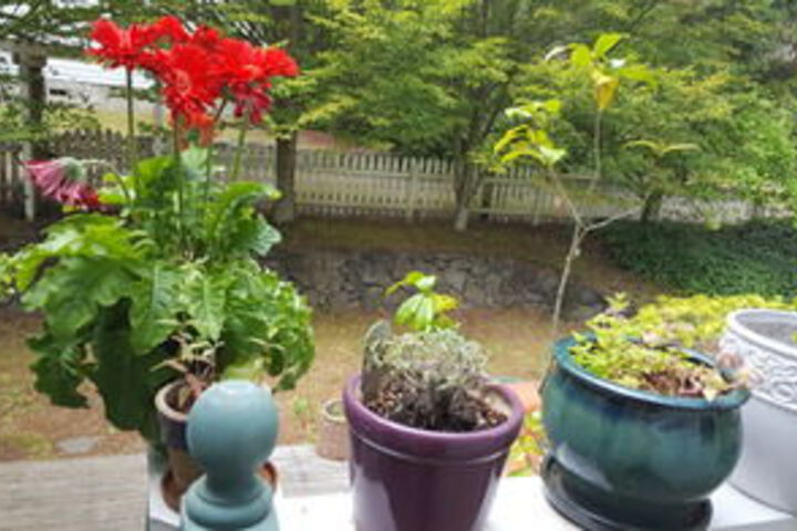 Hotel Exterior 41 of 126