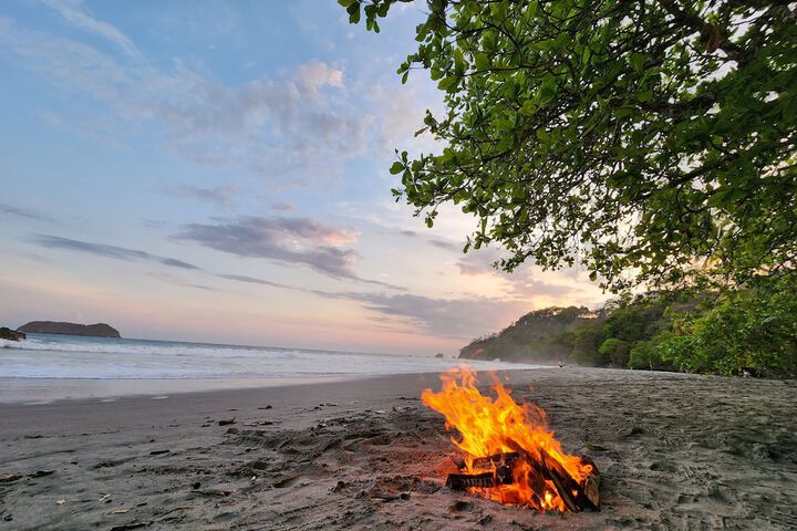 Beach 206 of 224