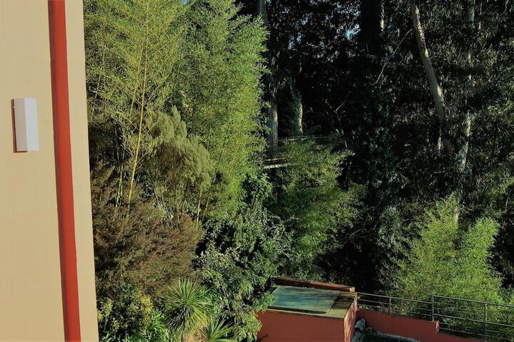 Property Grounds 59 of 65