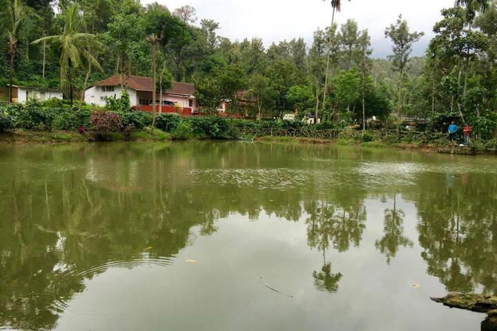 Green Glade Homestay-Coorg