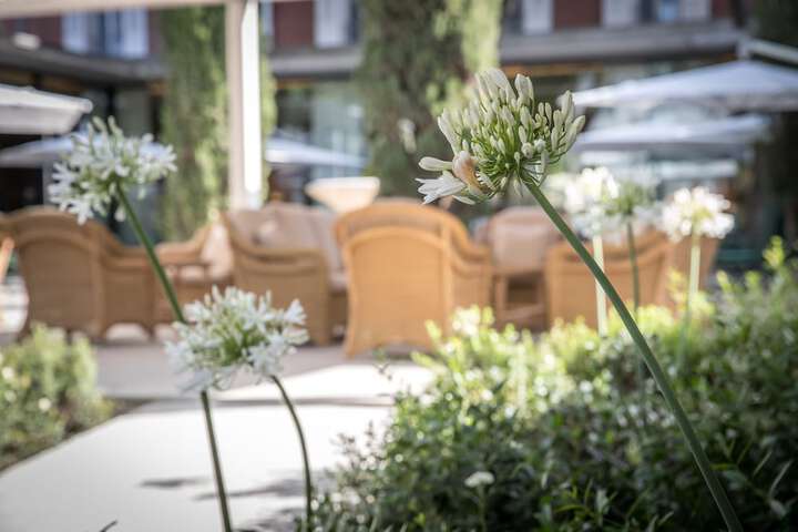Terrace/Patio 133 of 139