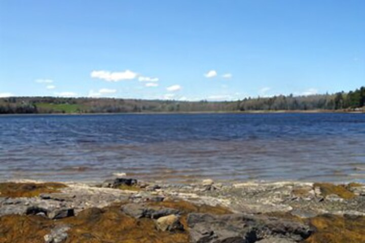Beach 14 of 68