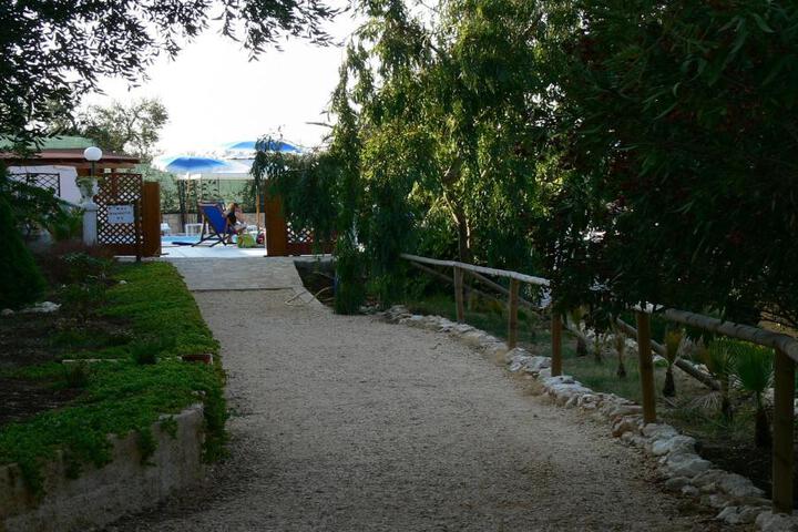 Photo 23