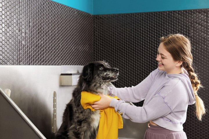 Pet Friendly 40 of 53