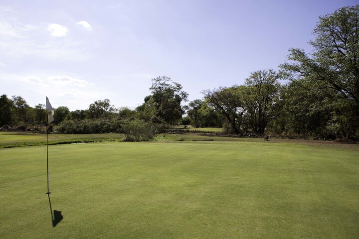 Golf 70 of 126