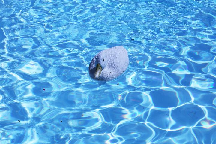Pool 50 of 67