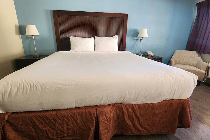 Standard King Bed Accessible (9 of 18)