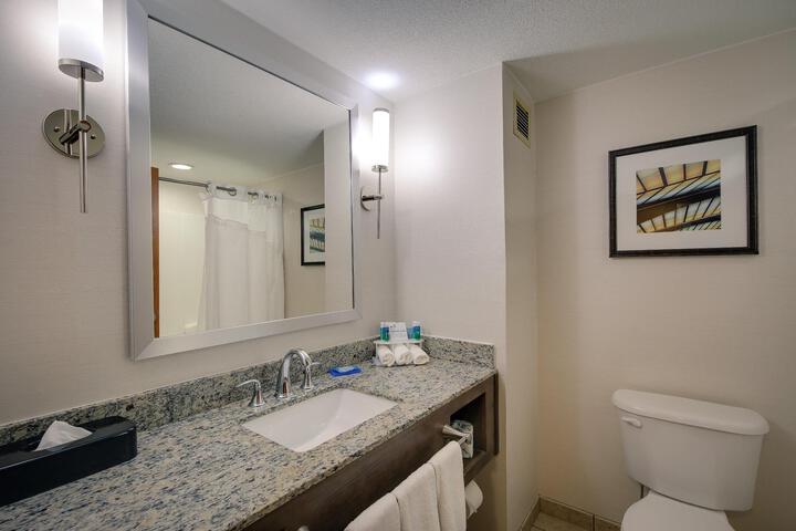 1 Bedroom Suite (5 of 12)