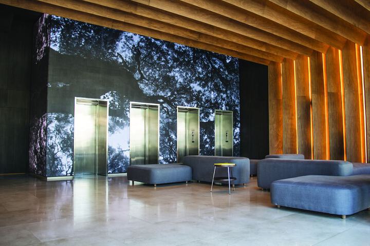 Entrance & Lobby