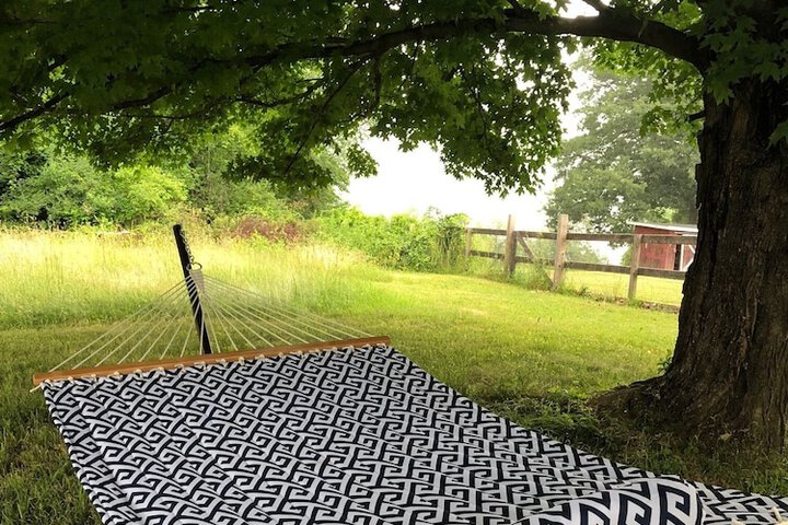 Property Grounds 50 of 54