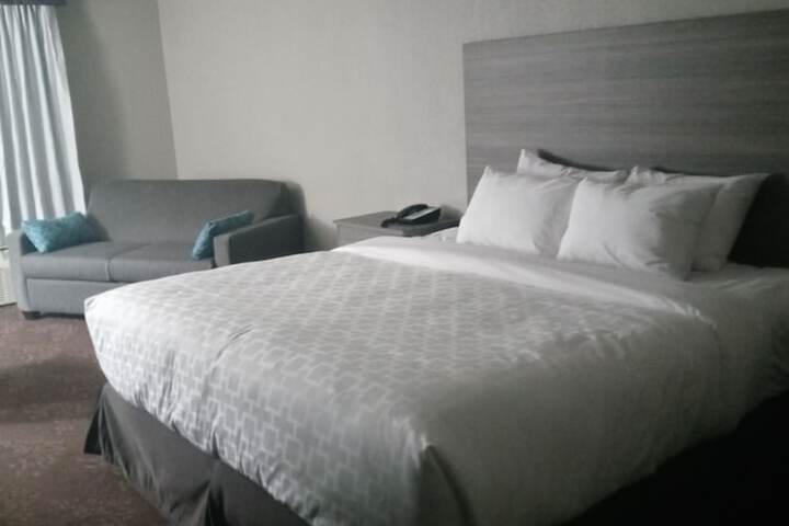1 King Bed Accessible (3 of 20)
