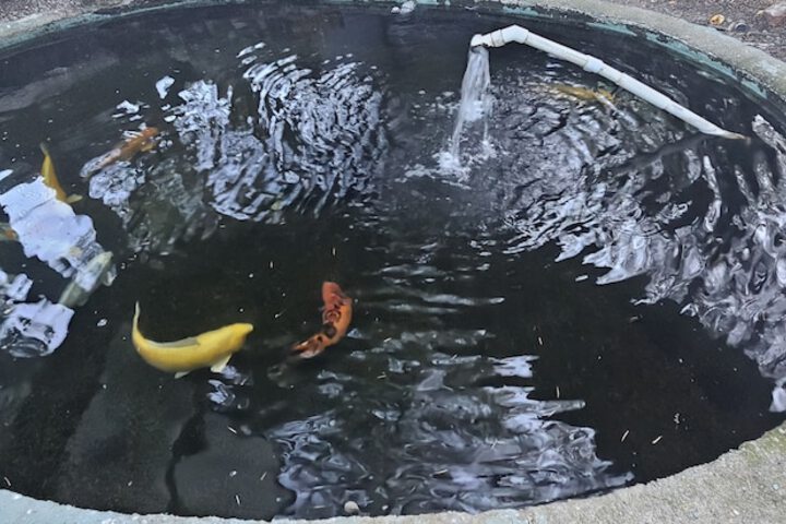 Hotel Exterior 120 of 120