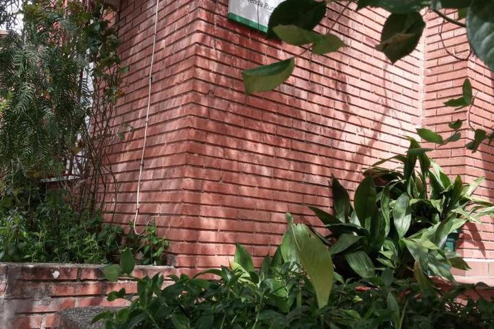 Exterior of Casa Pinos