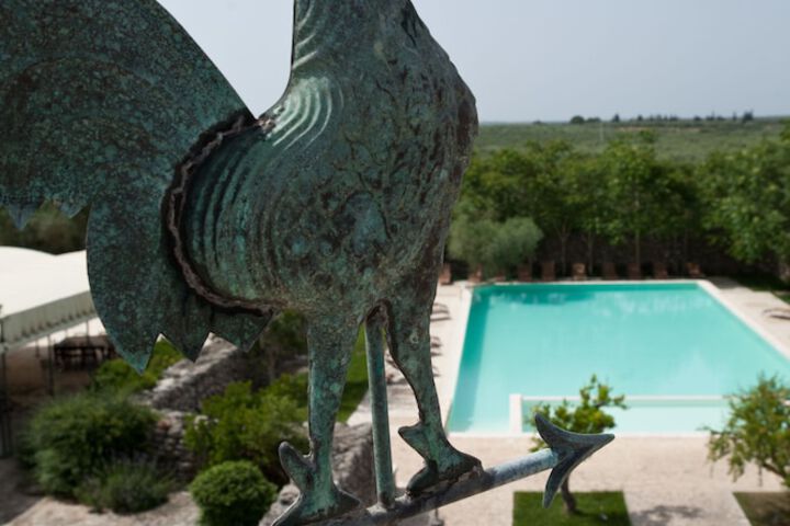 Hotel Pool
