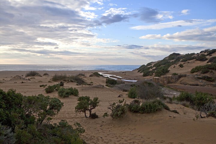 Beach 56 of 77