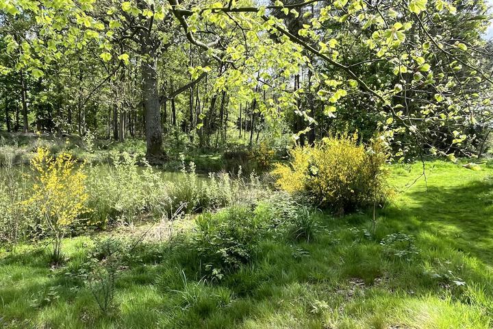 Property Grounds 32 of 45