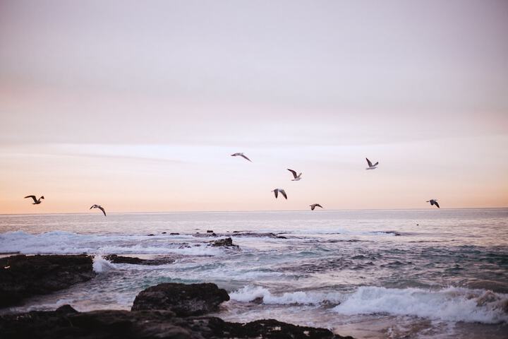 Beach