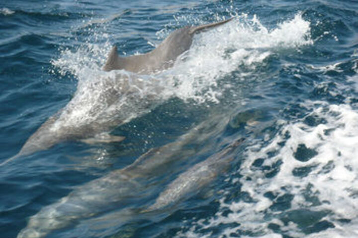 Water Sports 46 of 48