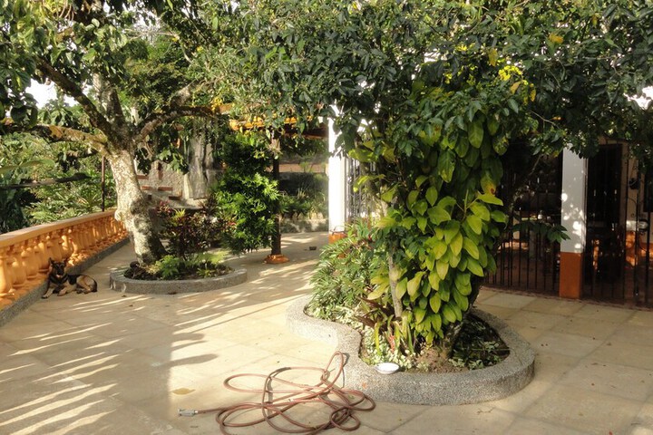 Property Grounds 39 of 67