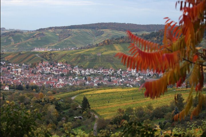 Mountain view