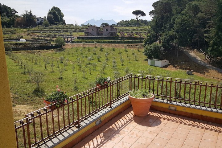 Terrace/Patio 66 of 161