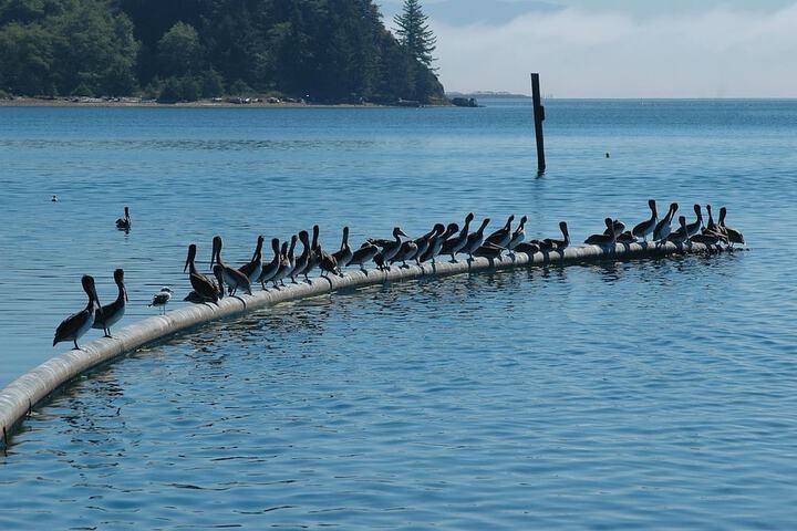 Property Grounds 30 of 38