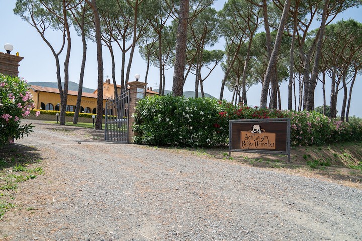 Hotel 63 of 87