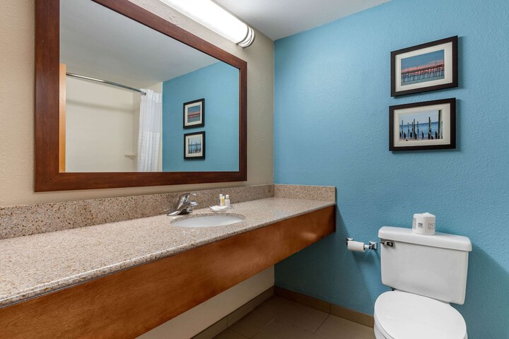 1 King Bed Suite (4 of 29)