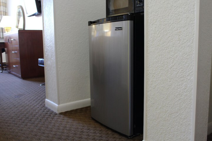 Mini-refrigerator